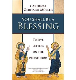 Ave Maria You Shall Be a Blessing: Twelve Letters on the Priesthood