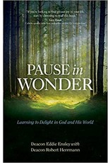 Ave Maria Pause in Wonder: Learning to Delight in God and His World