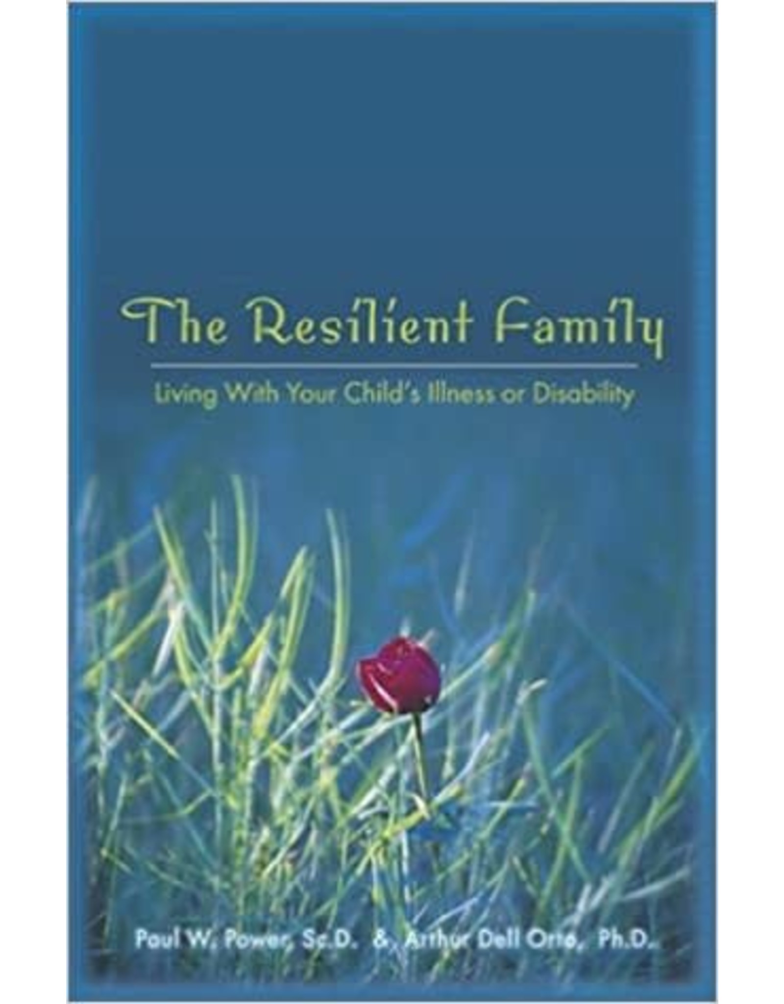 Sorin Books The Resilient Family: Living With Your Child's Illness or Disability