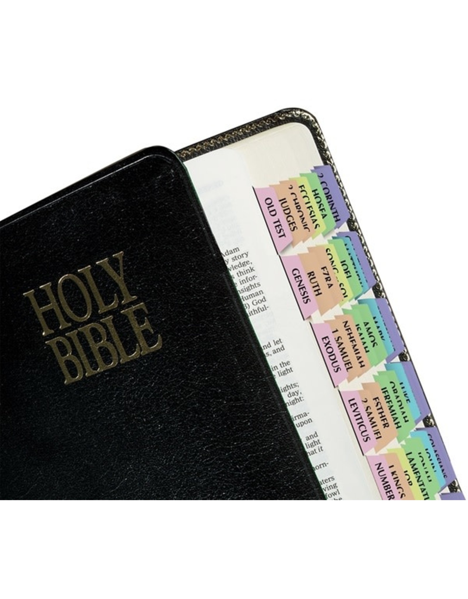 Tabbies Bible Tabs-Catholic-Rainbow