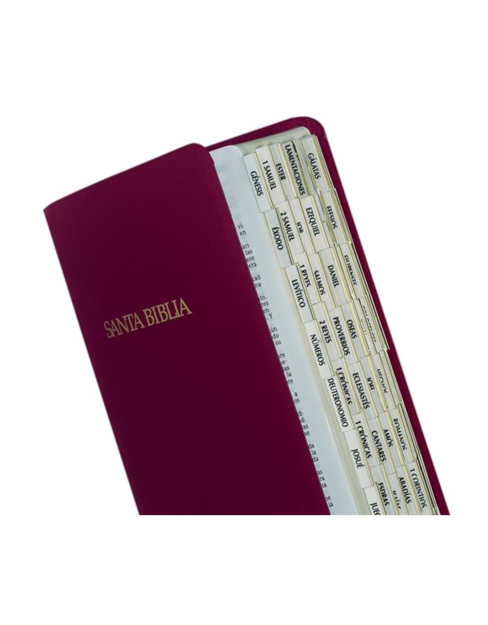 Tabbies Bible Tabs-Spanish-Catholic-Gold