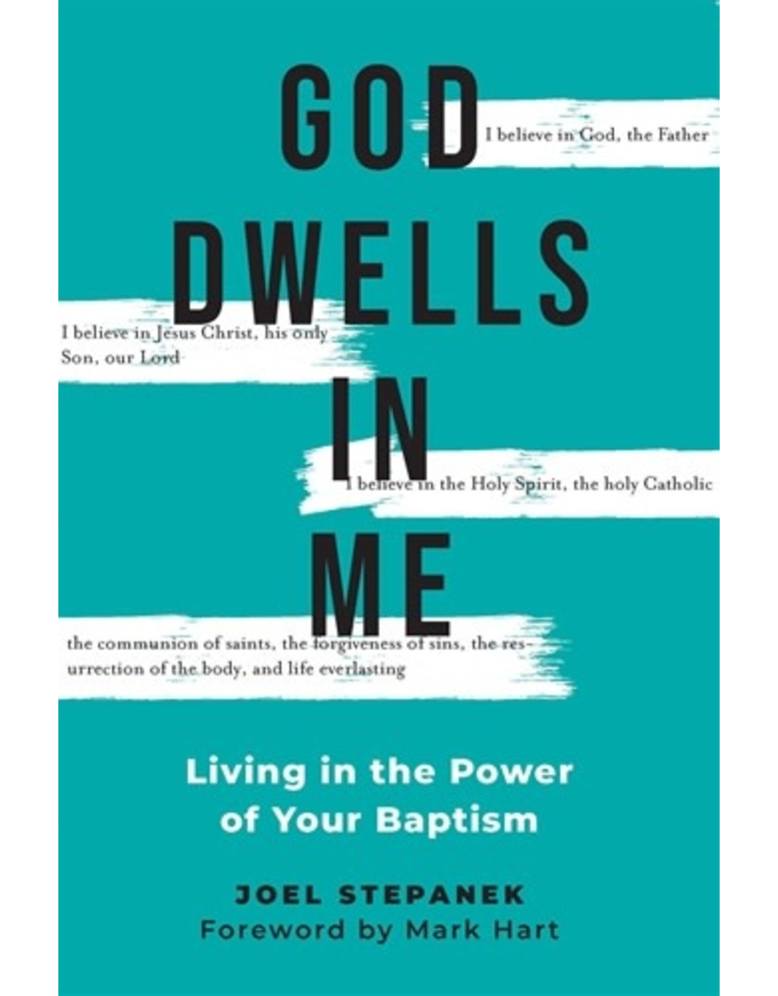 God Dwells in Me: Living the Power of your Baptism