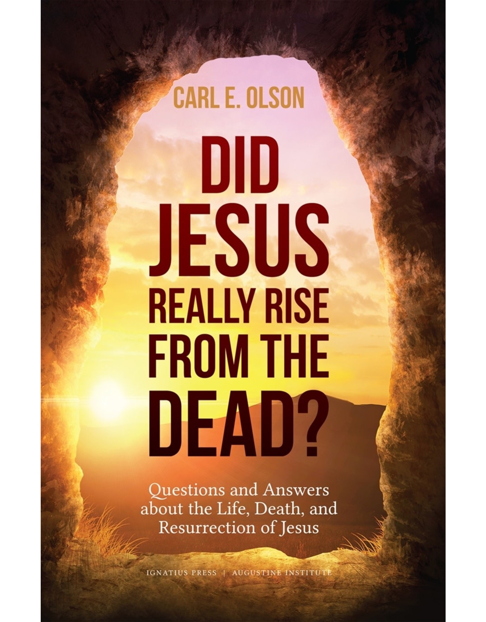 Ignatius Press Did Jesus Really Rise from the Dead?
