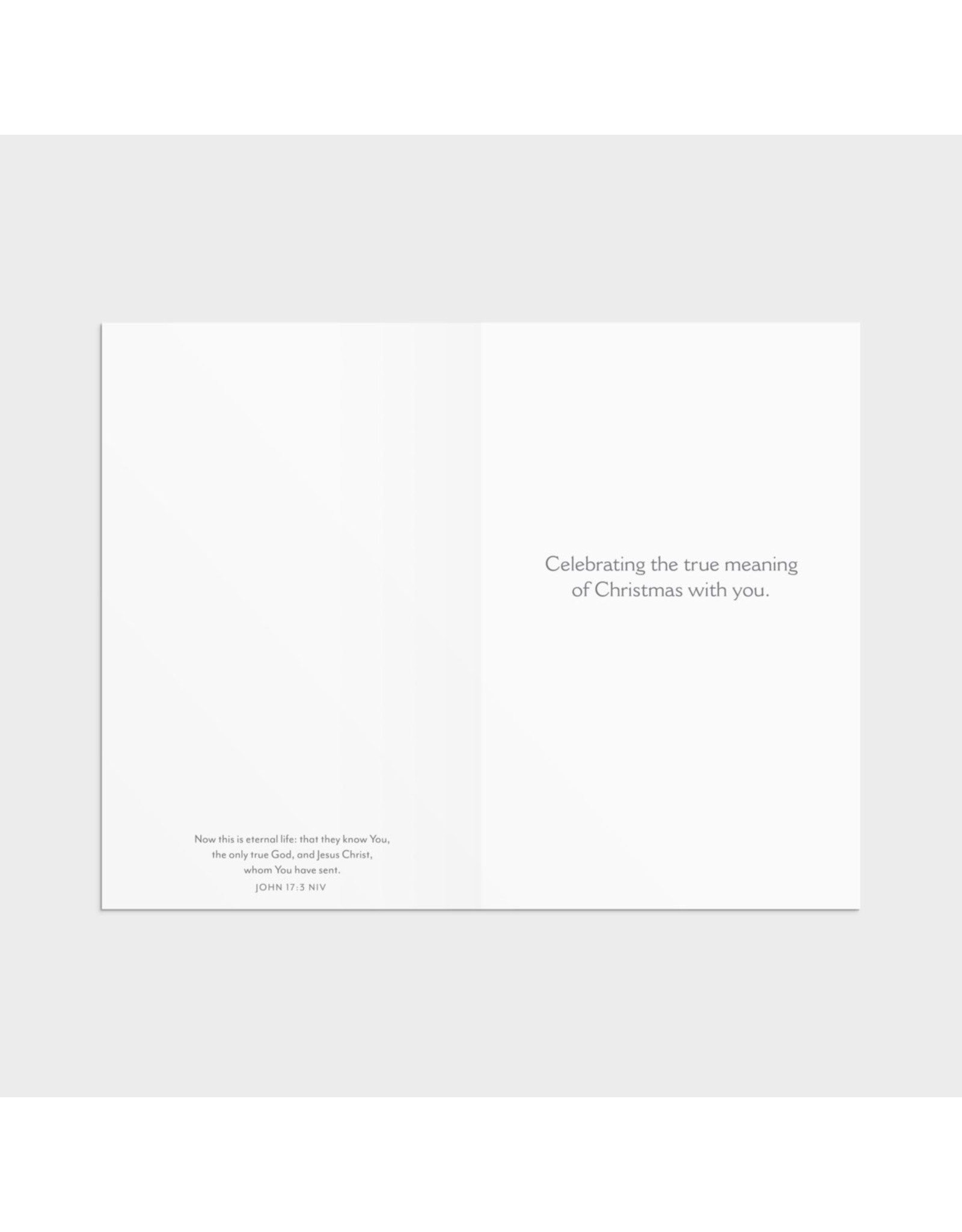 Dayspring Boxed Christmas Cards - Only Thing that Really Matters is Jesus (18)