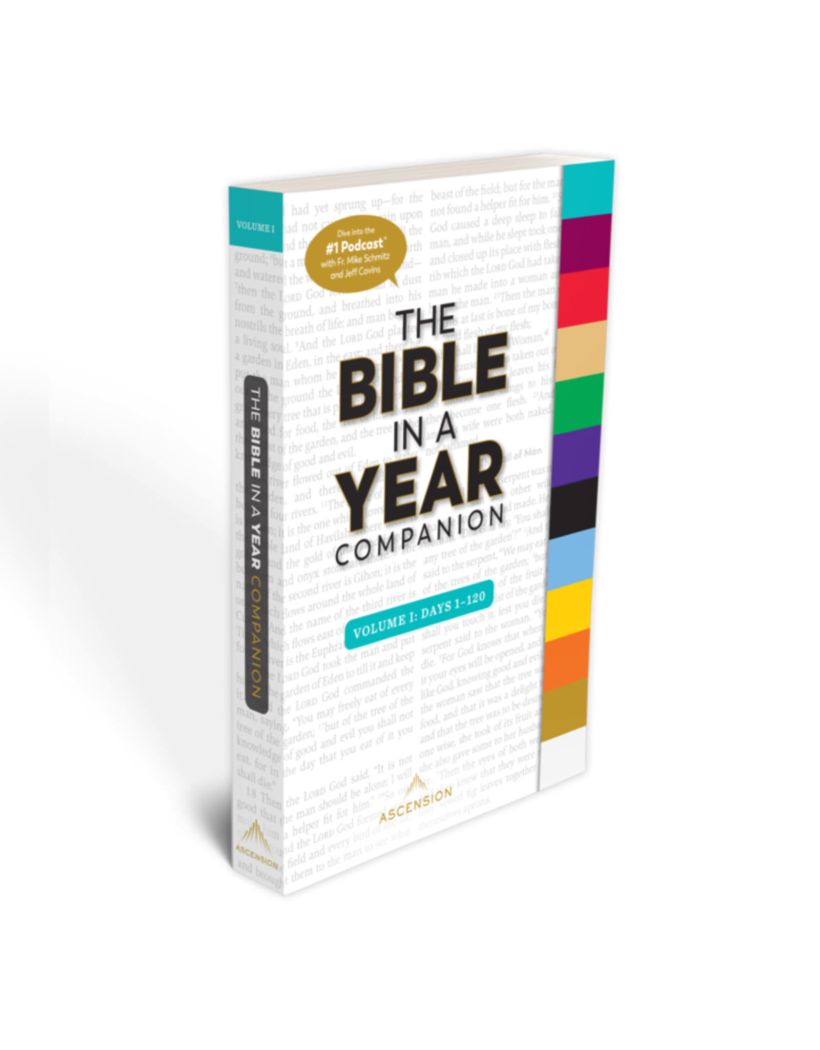 Bible in a Year Companion, Volume I (out of stock and estimating a restock date of March)