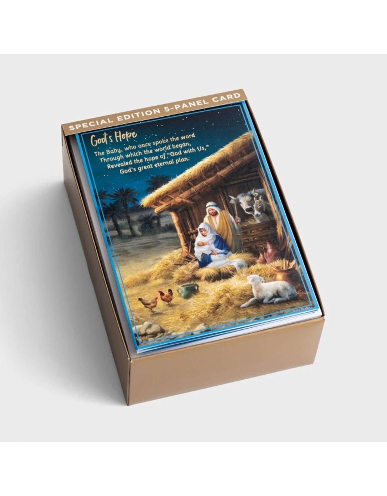 Dayspring Boxed Christmas Cards - Christmas Story, KJV (18)