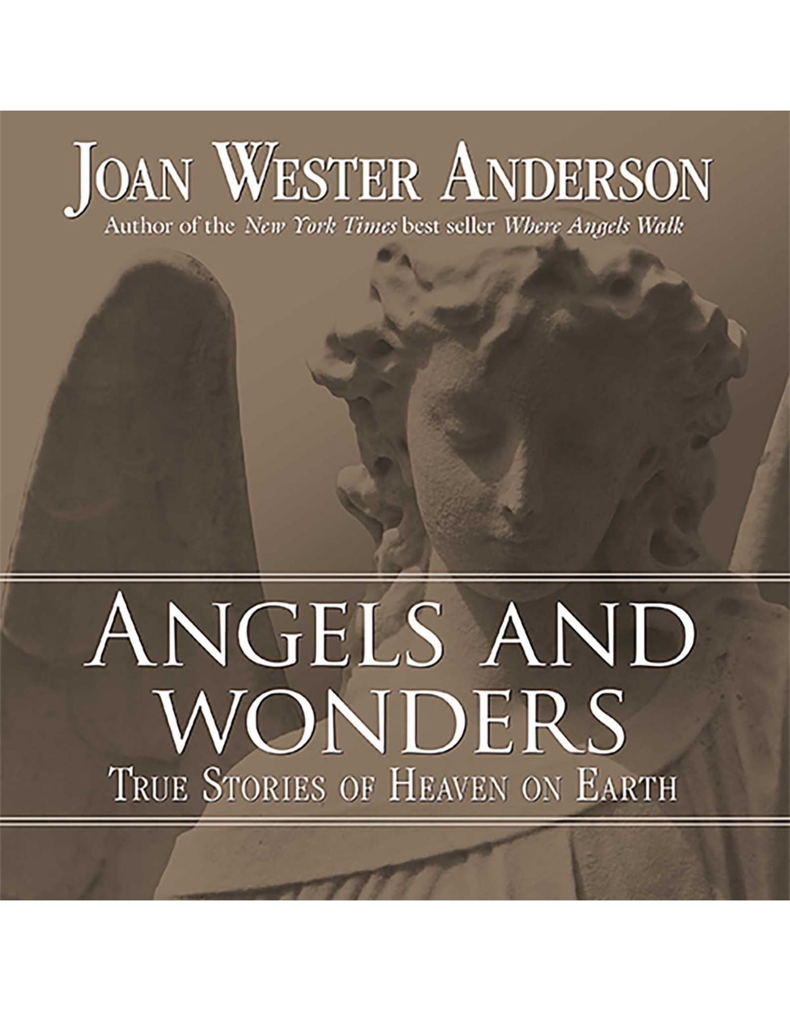 Loyola Press Angels and Wonders