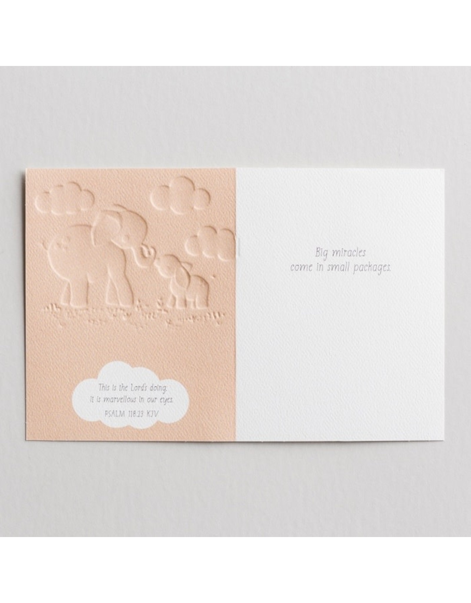 Studio 71 Baby Congratulations Card - Elephant