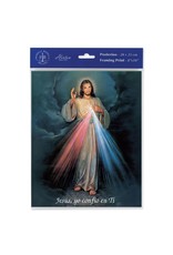 8x10 Print - Various Subjects