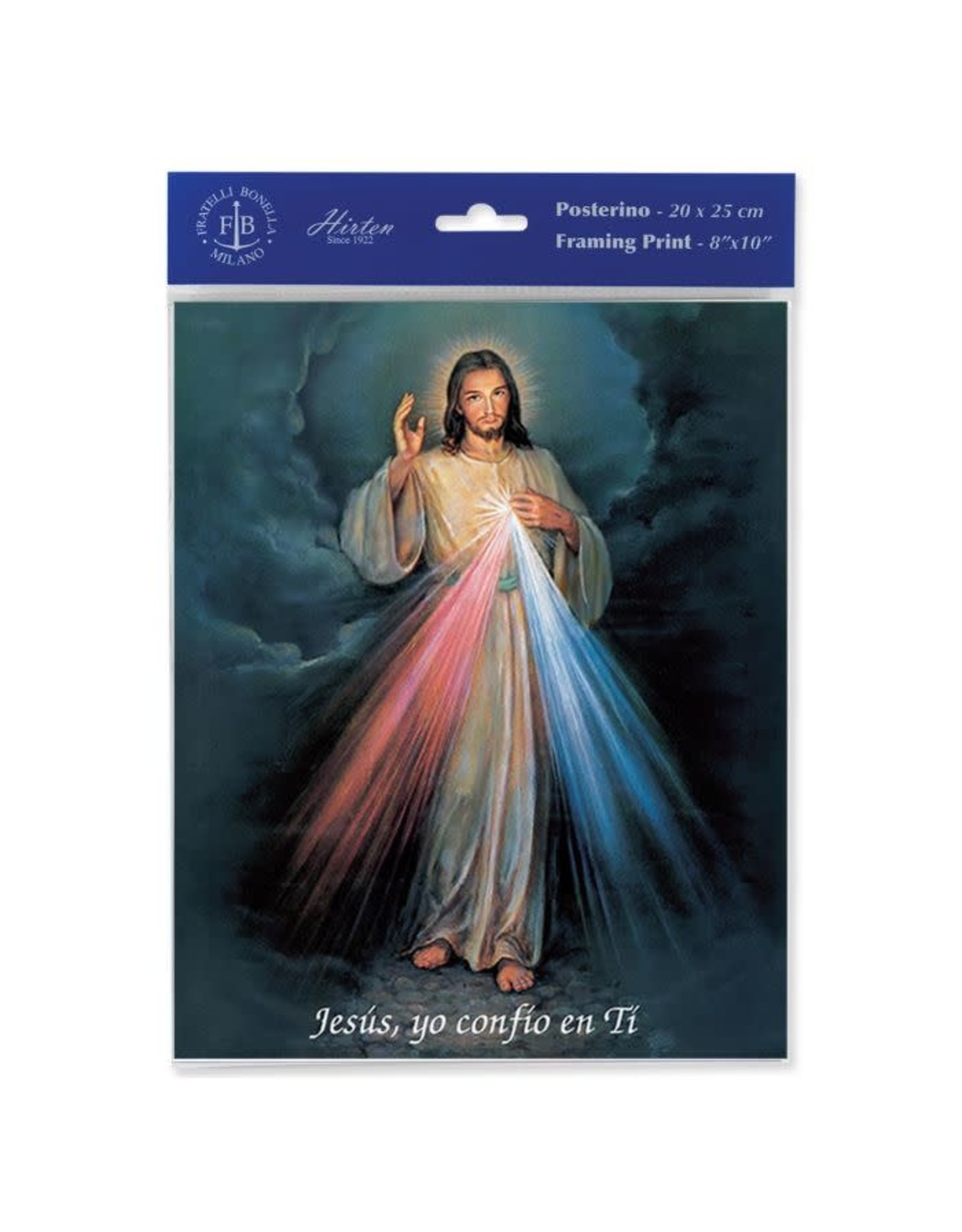 8x10 Print - Various Subjects