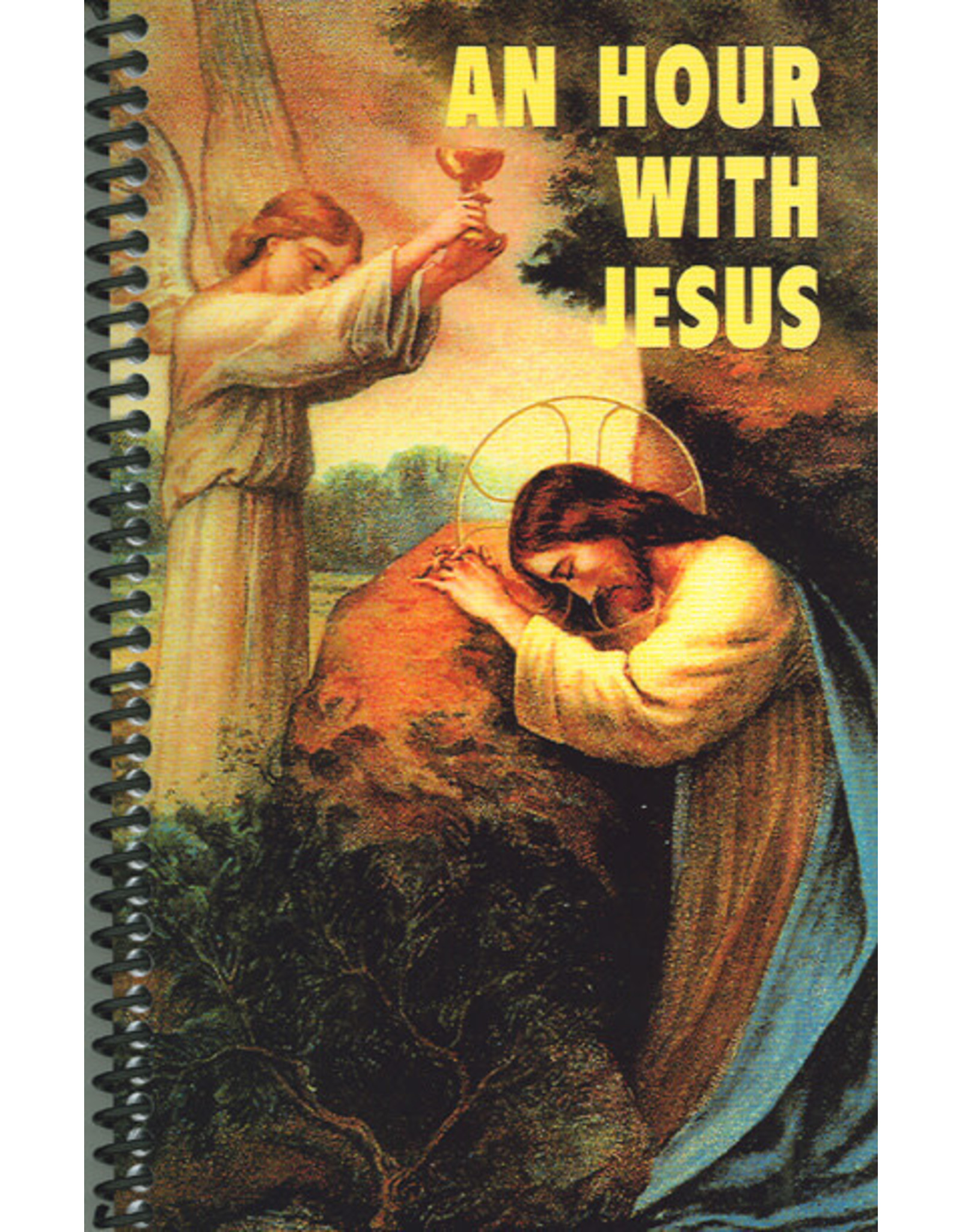 Queenship An Hour with Jesus Vol. 1