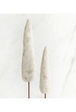 Willow Tree Willow Tree - Cypress Trees