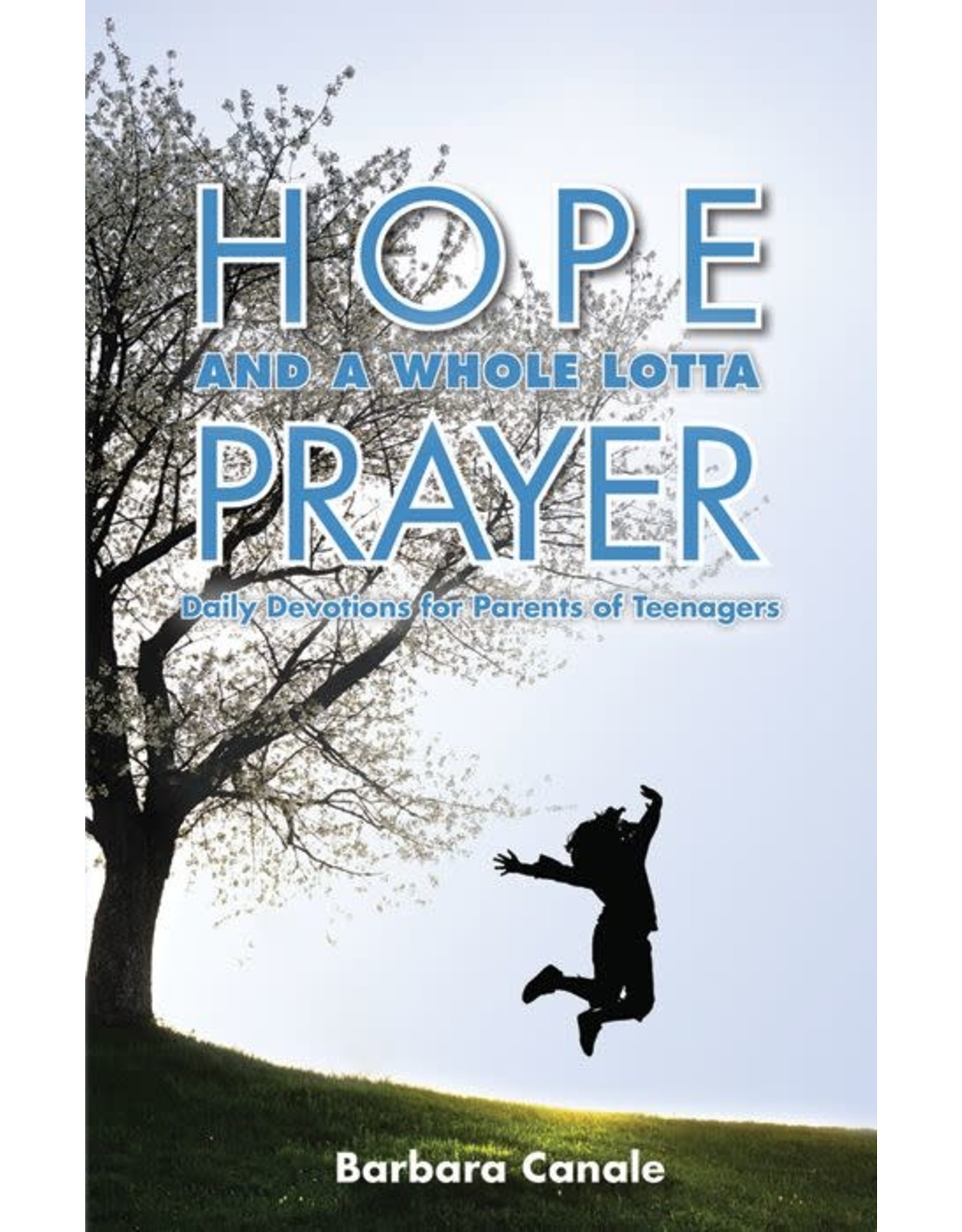Liguori Publications Hope & a Whole Lotta Prayer: Daily Devotions for Parents of Teenagers