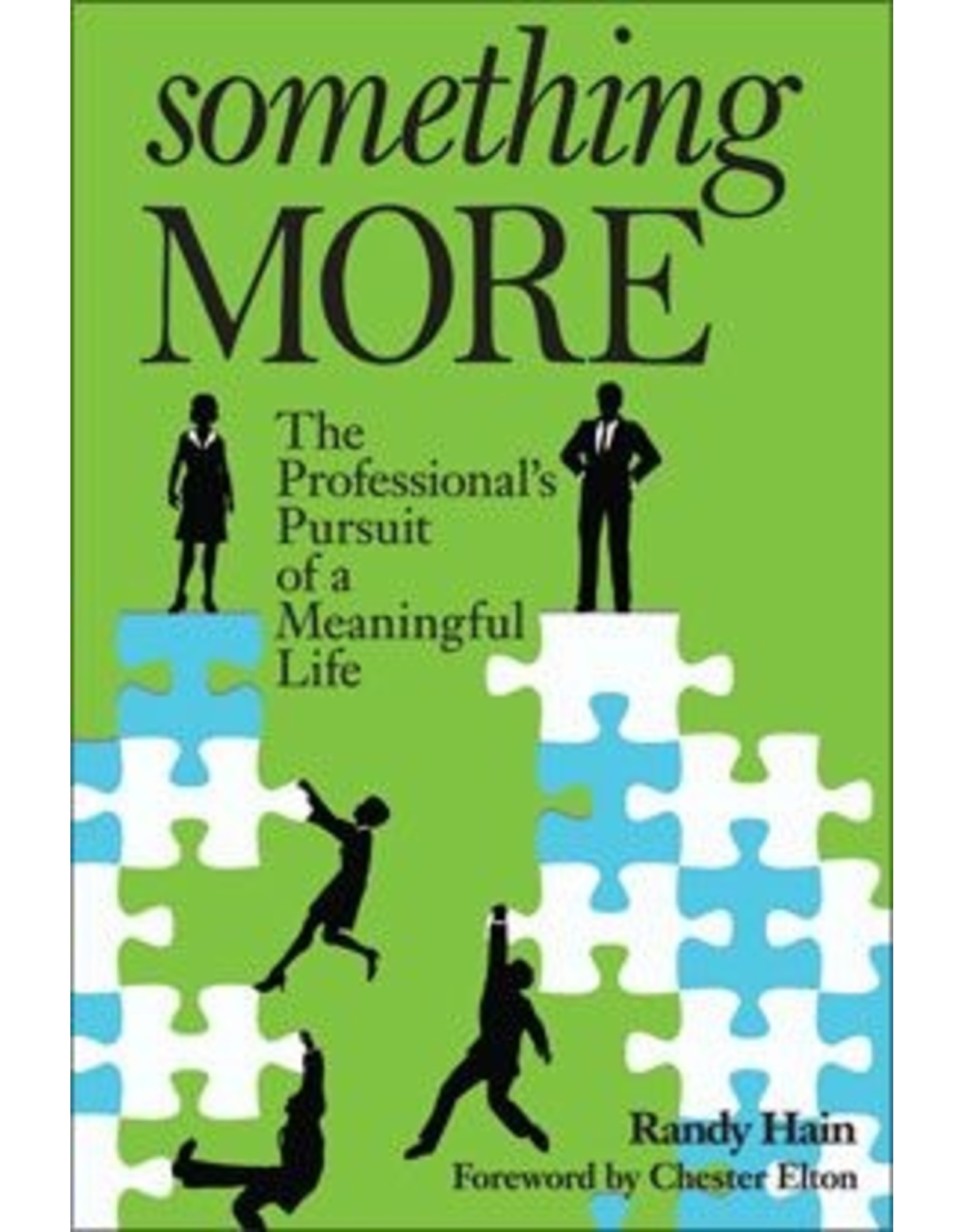 Liguori Publications Something More: The Professional's Pursuit of a Meaningful Life