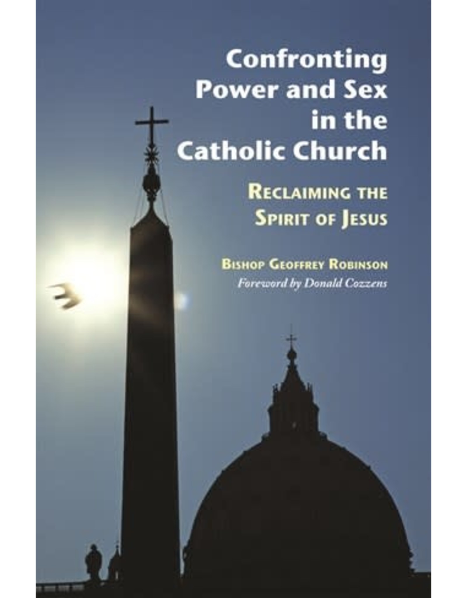 Liturgical Press Confronting Power & Sex In The Catholic Church