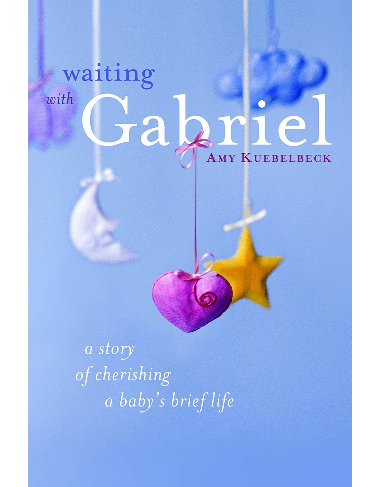 Loyola Press Waiting with Gabriel: A Story of Cherishing a Baby's Brief Life