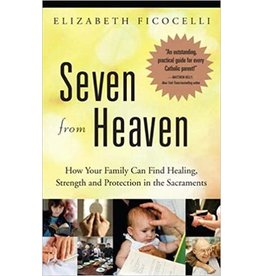 Crossroads Seven from Heaven: How Your Family Can Find Healing, Strength and Protection in the Sacraments