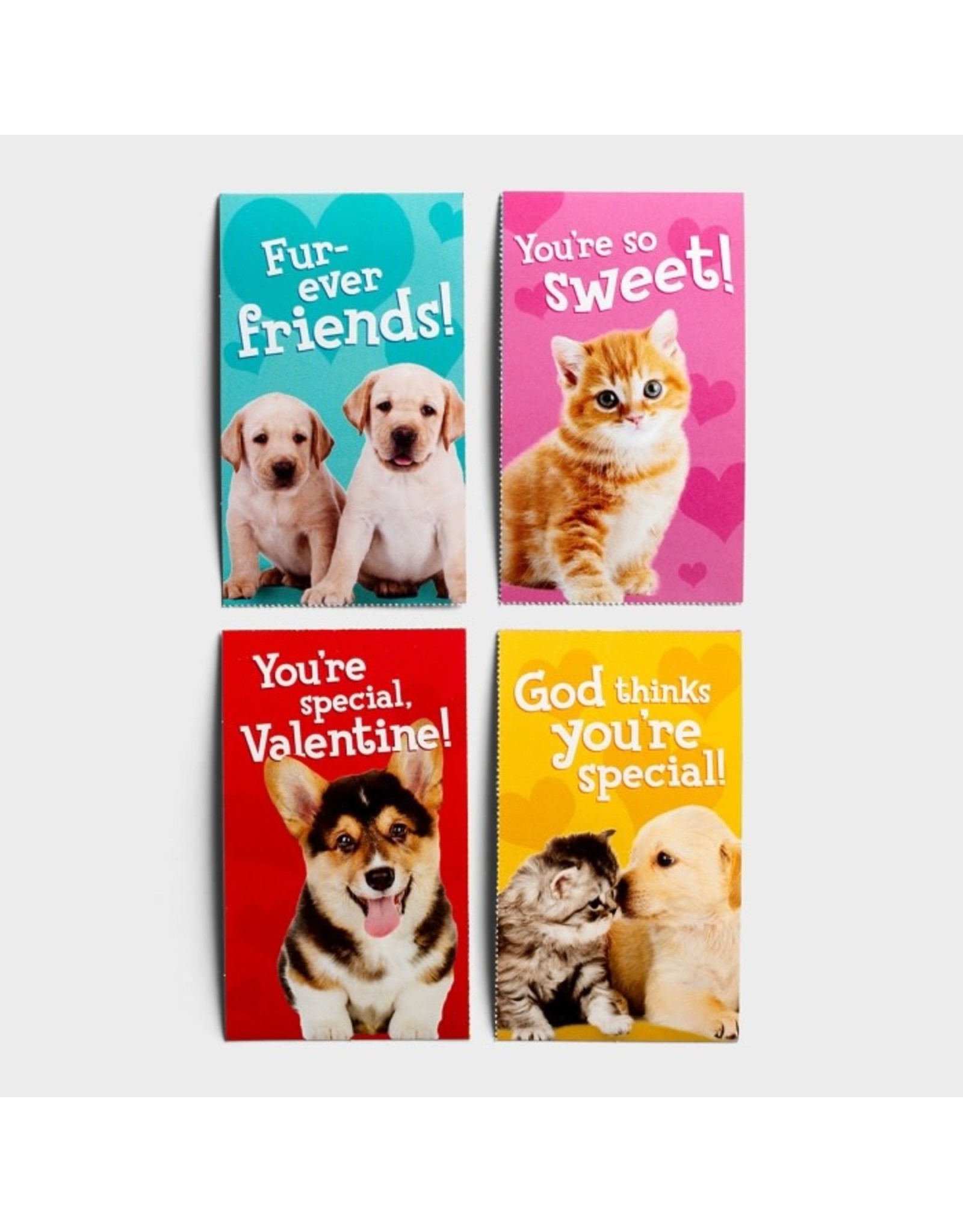 Dayspring Boxed Valentine's Day Cards - Whiskers & Paws, Scripture NLT (32)