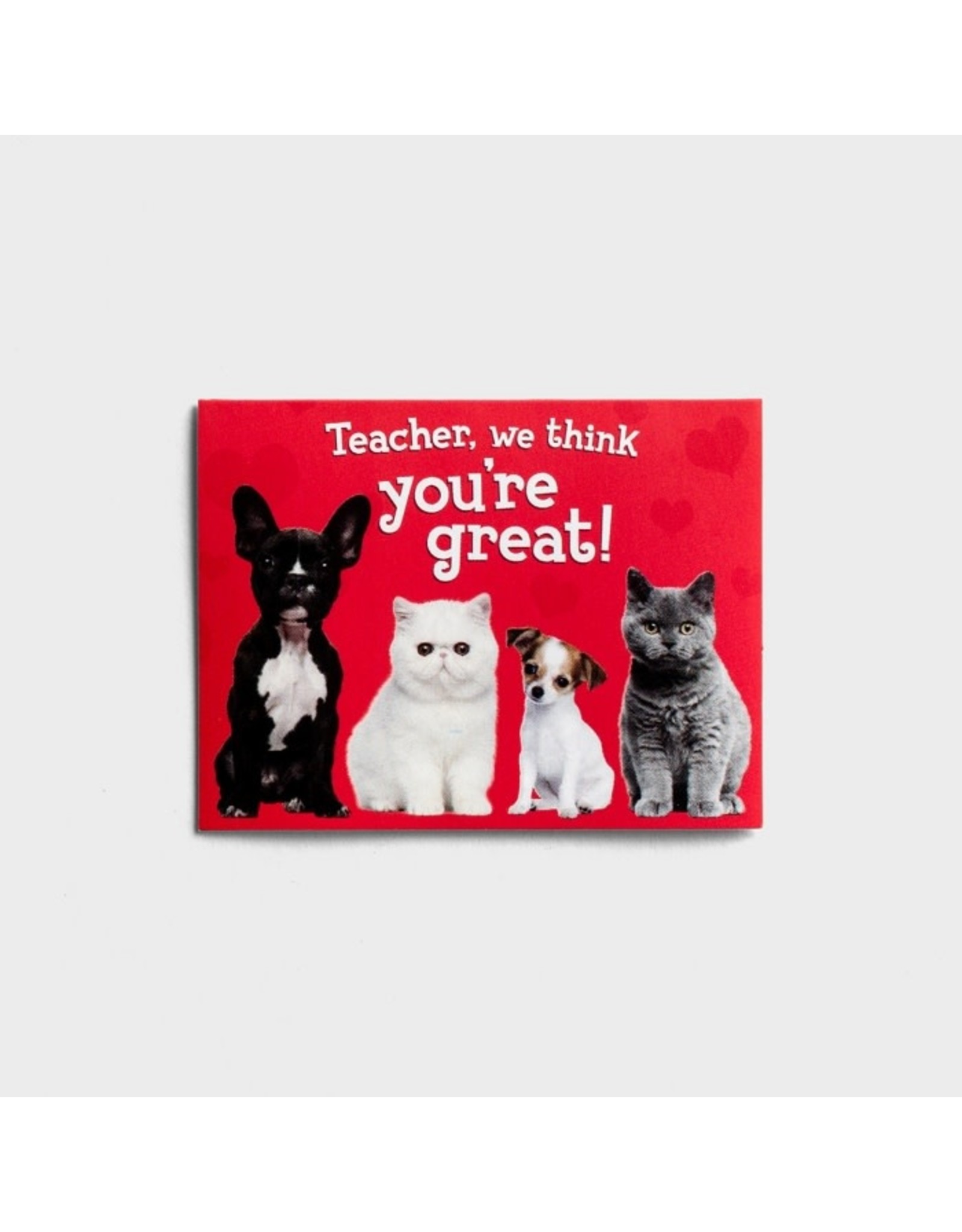Dayspring Boxed Valentine's Day Cards - Whiskers & Paws, Scripture NLT (32)