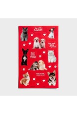 Boxed Cards (32) - Children's Valentines - Whiskers & Paws, Scripture NLT