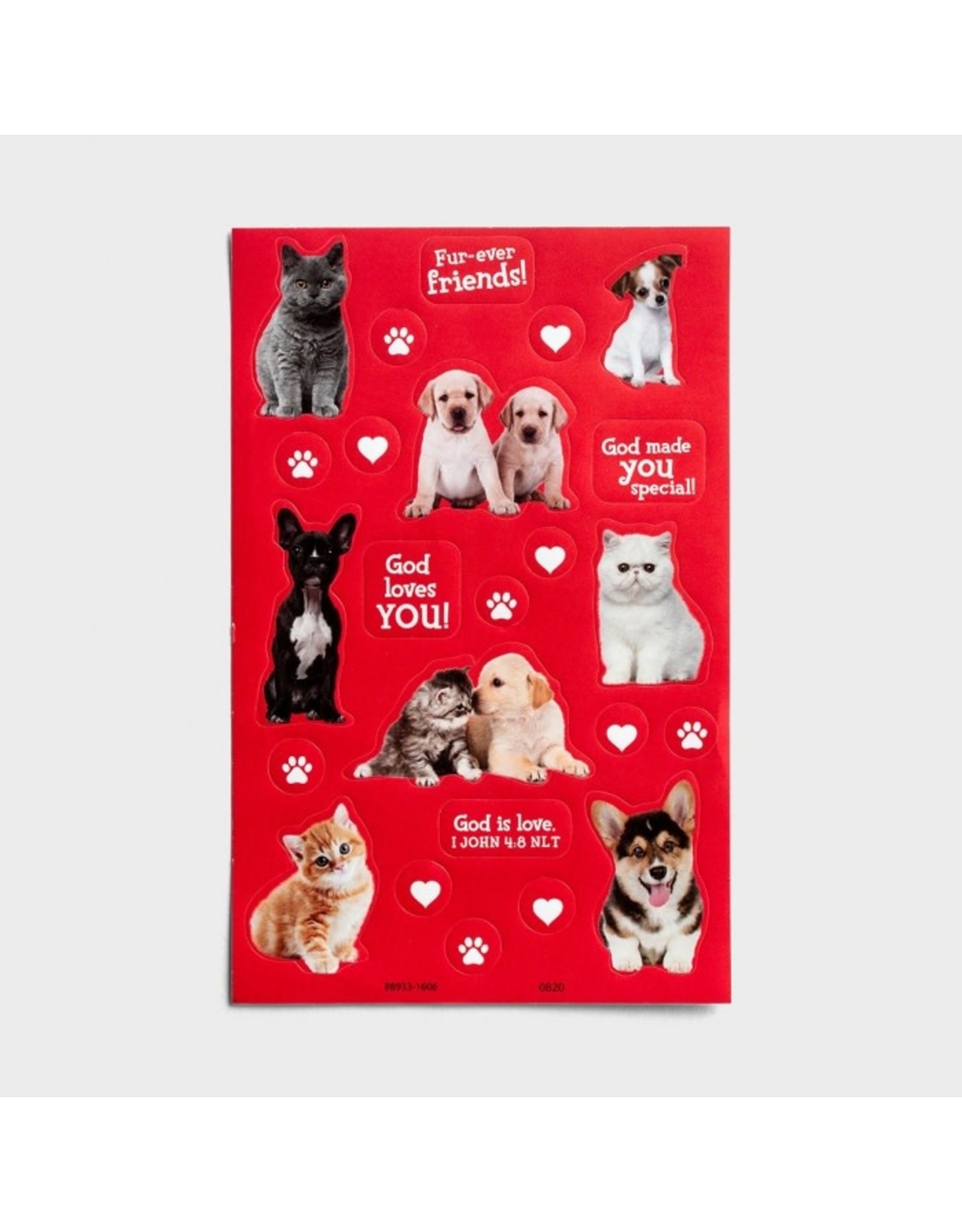 Dayspring Boxed Cards (32) - Children's Valentines - Whiskers & Paws, Scripture NLT