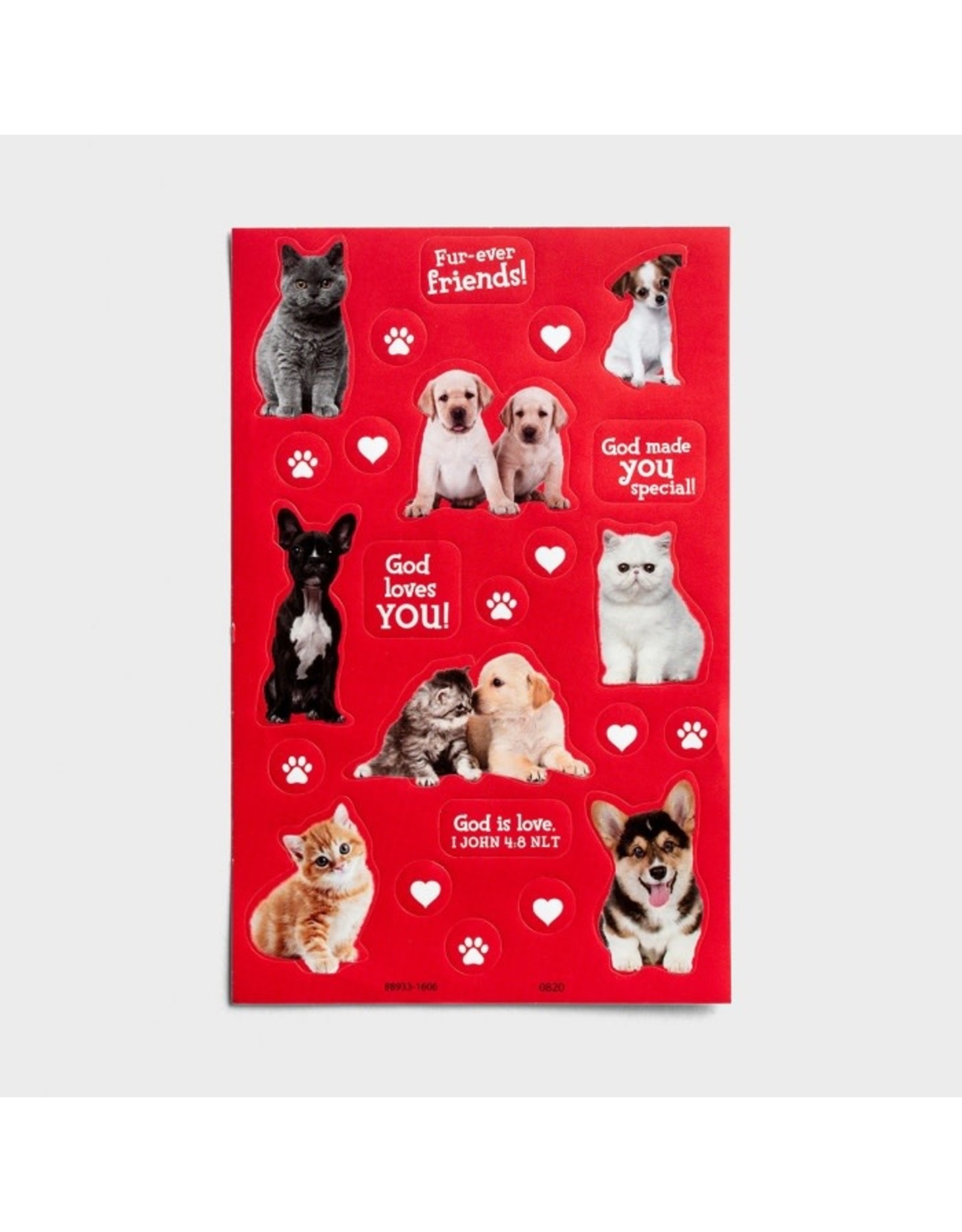 Dayspring Boxed Valentine's Day Cards - Whiskers & Paws, Scripture NLT (32)