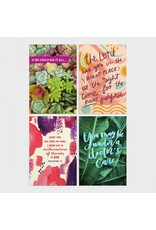 Dayspring Boxed Cards - All Occasion, Assorted Scripture (12)