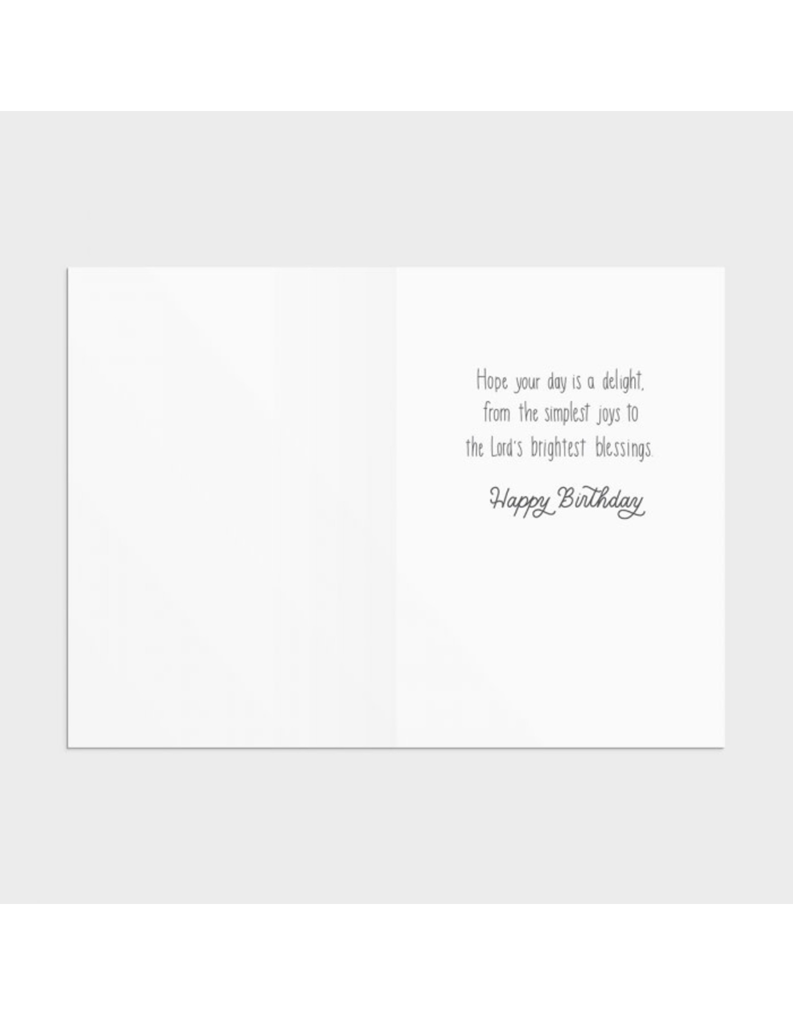 Dayspring Boxed Cards - All Occasion, Assorted Scripture (12)