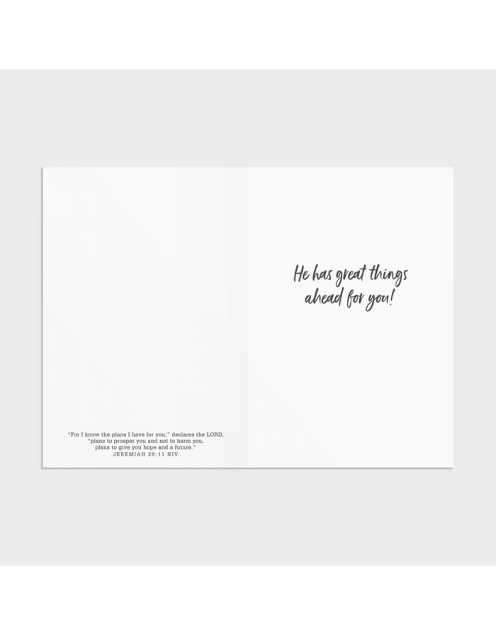 Dayspring Boxed Cards - All Occasion, Assorted Scripture (12)