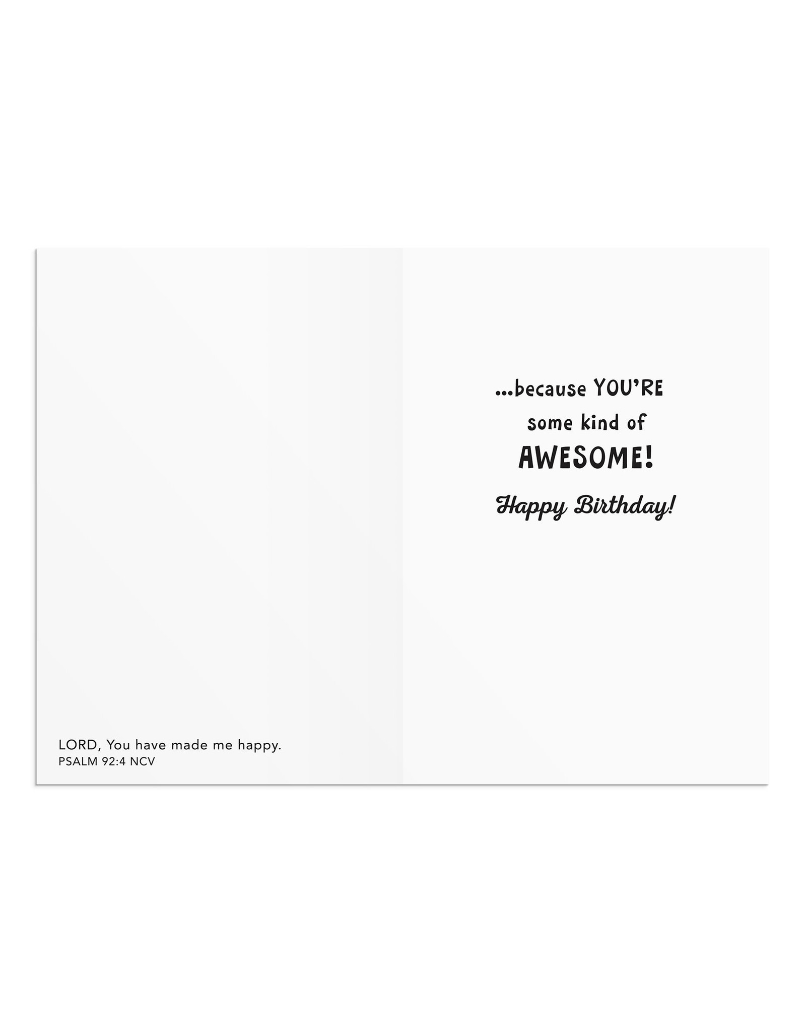 Dayspring Boxed Cards - Kids Birthday - Peanuts, Scripture NCV (12)