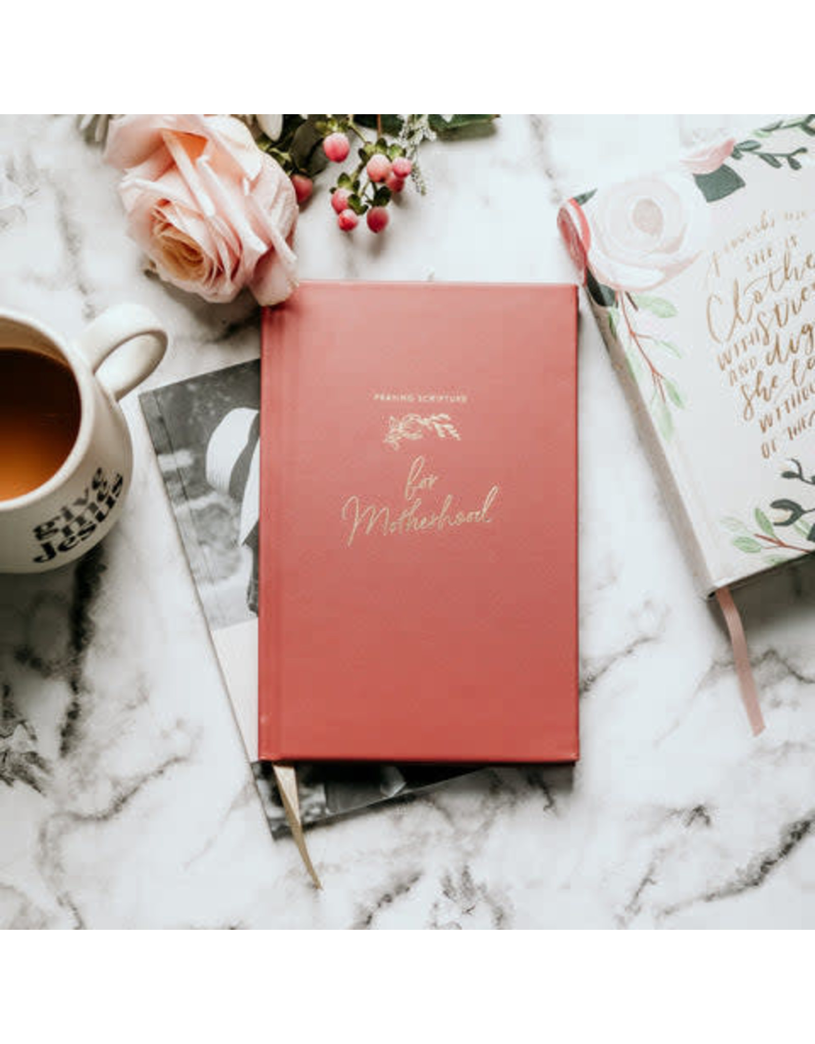 The Daily Grace Co. Praying Scripture for Motherhood Journal
