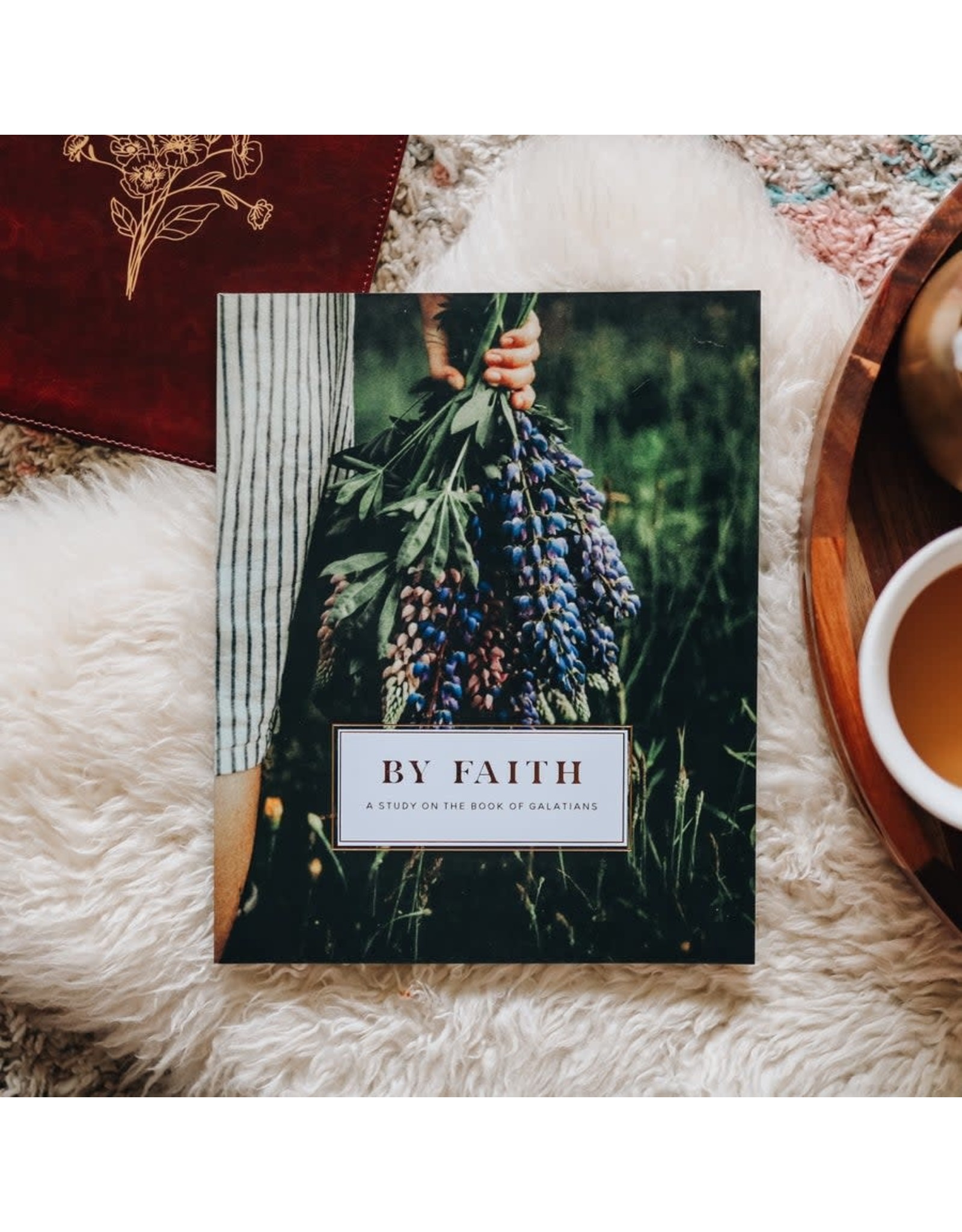 The Daily Grace Co. Book of Galatians "By Faith" Study for Women