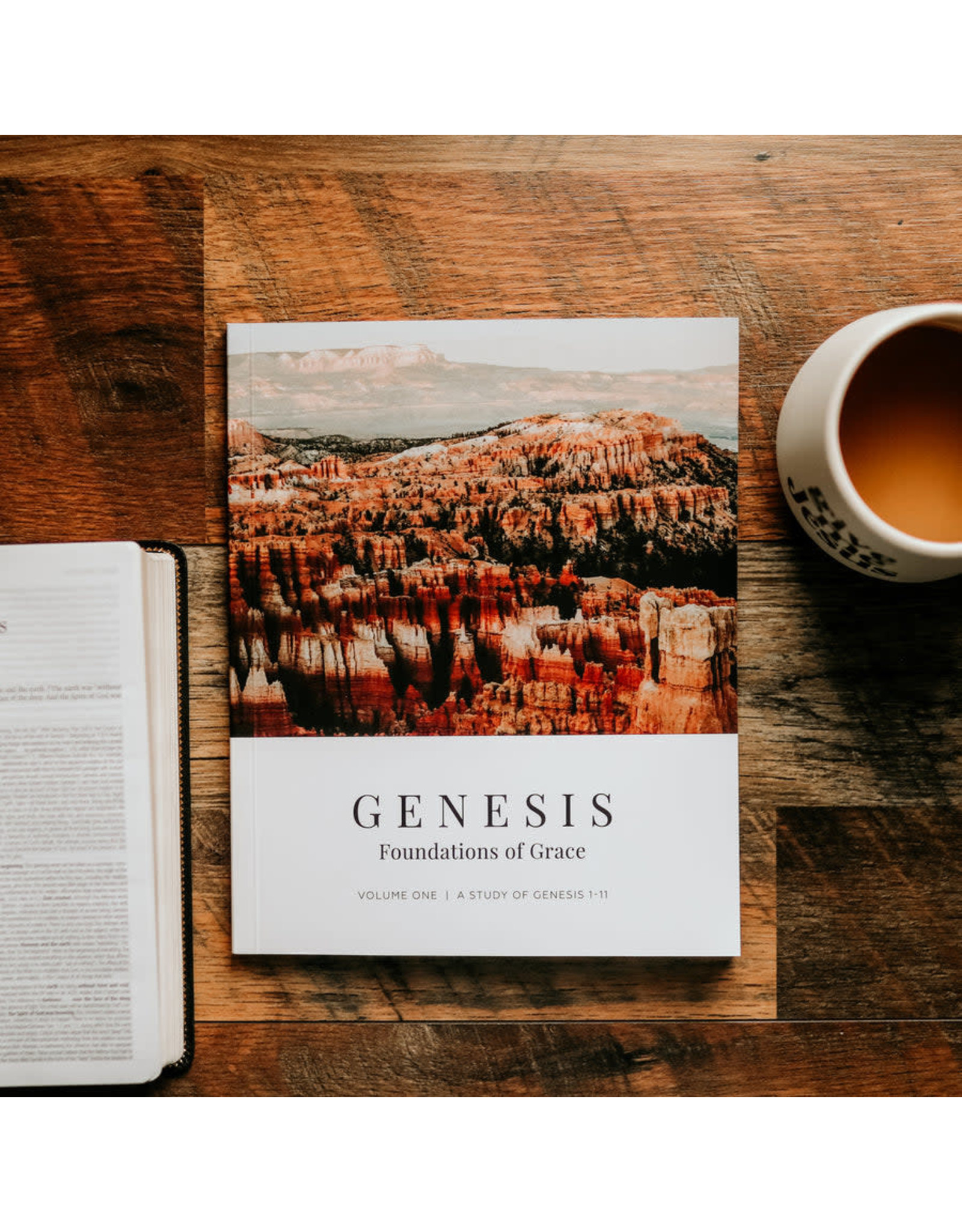 Genesis "Foundations of Grace" Study for Men