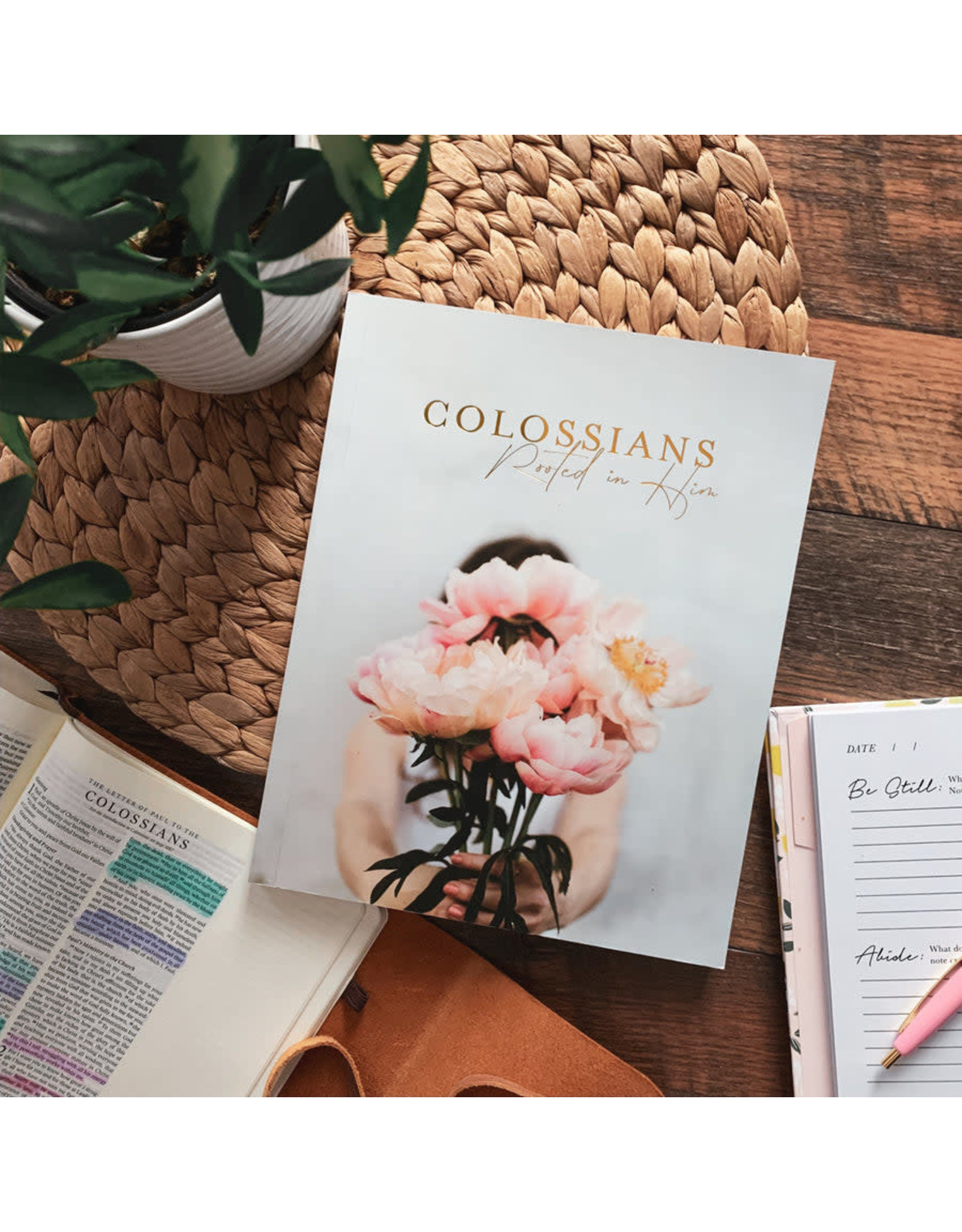 Colossians "Rooted in Him" Study