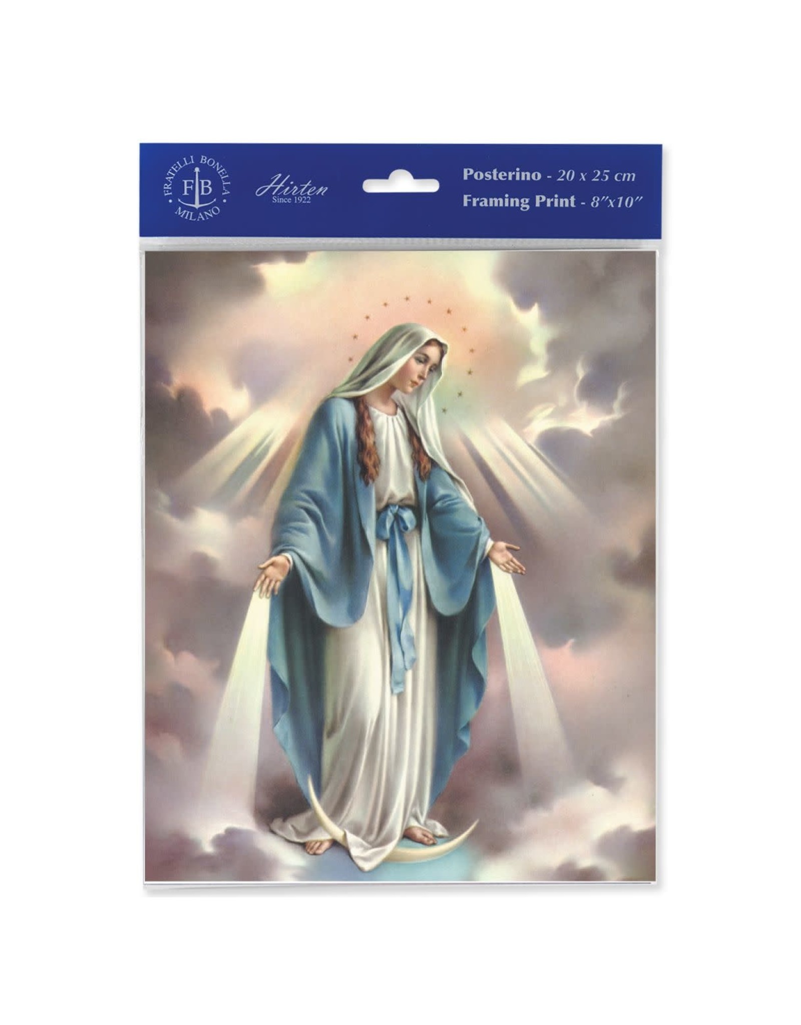 8x10 Print - Various Subjects