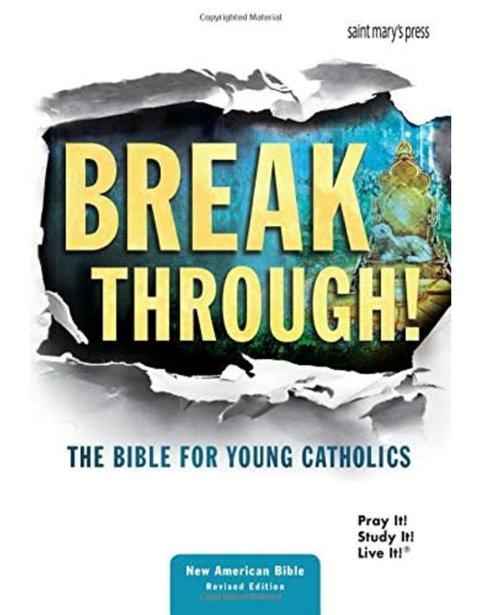 St. Mary's Press Breakthrough! The Bible for Young Catholics: NABRE