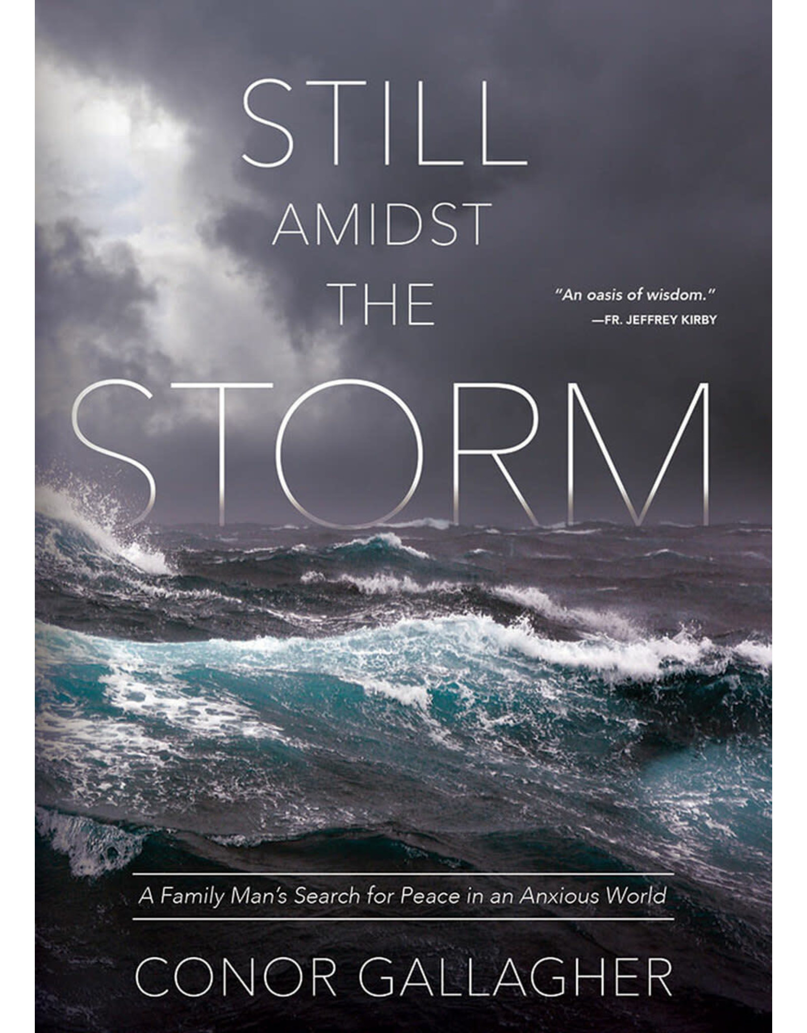 Tan Books (St. Benedict Press) Still Amidst the Storm: A Family Man's Search for Peace in an Anxious World