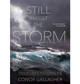 Tan Books (St. Benedict Press) Still Amidst the Storm: A Family Man's Search for Peace in an Anxious World
