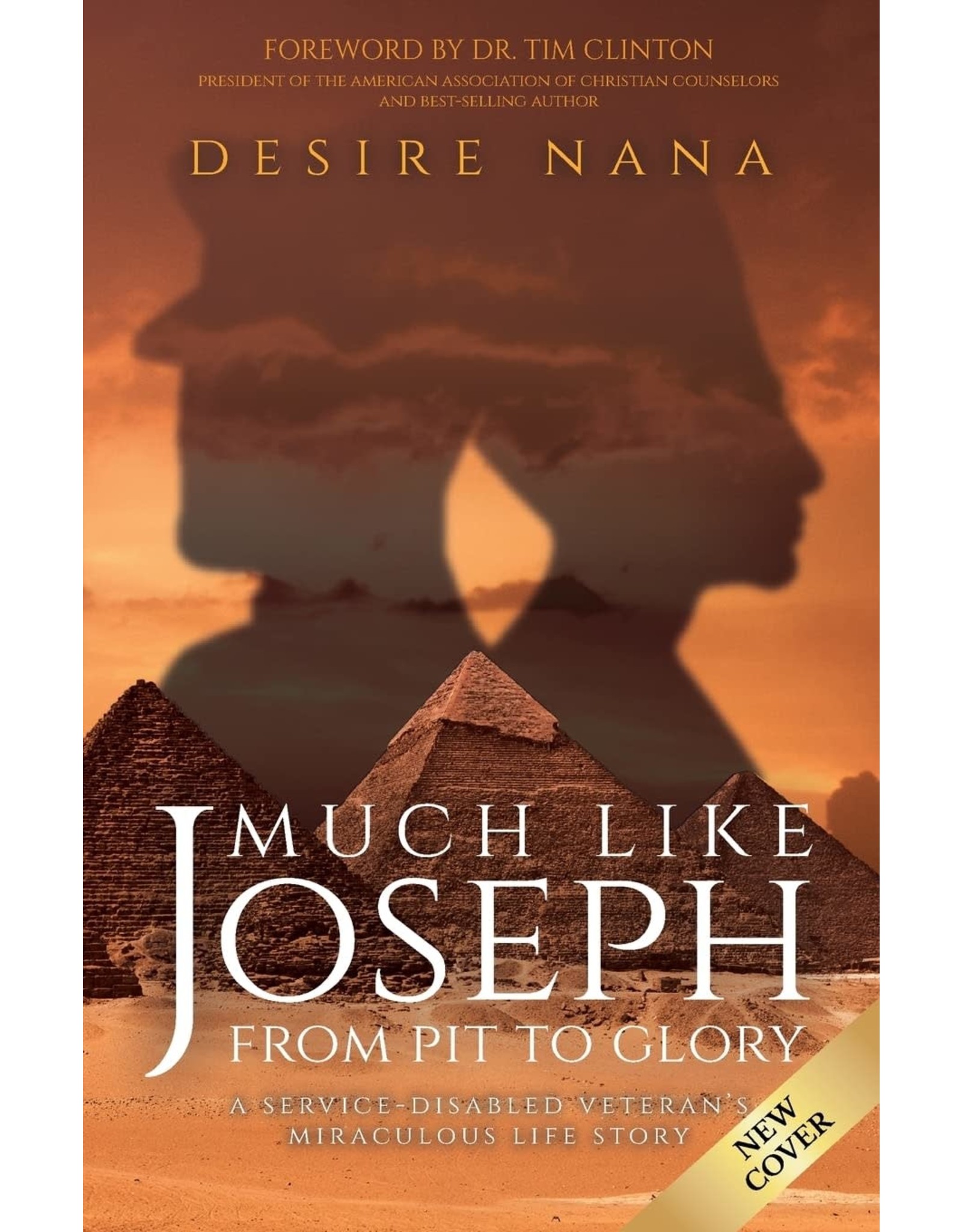Trilogy Christian Publishing Much Like Joseph: From Pit to Glory
