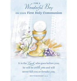 Card - First Communion, for a Wonderful Boy