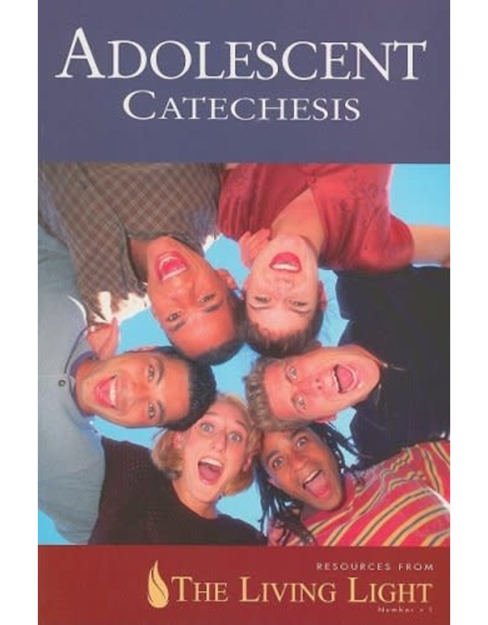 USCCB Adolescent Catechesis