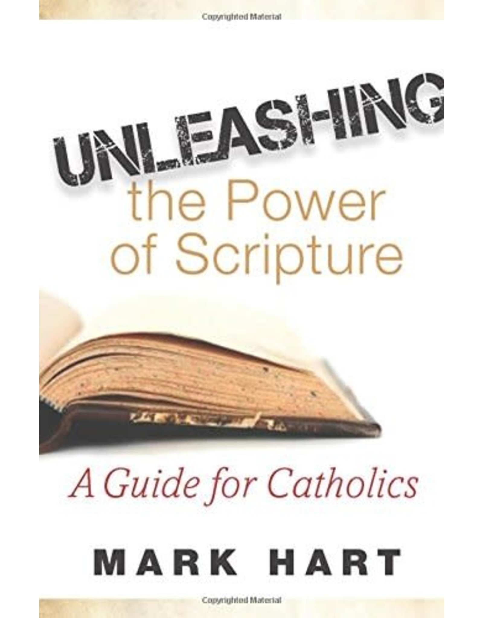 Unleashing the Power of Scripture: A Guide for Catholics