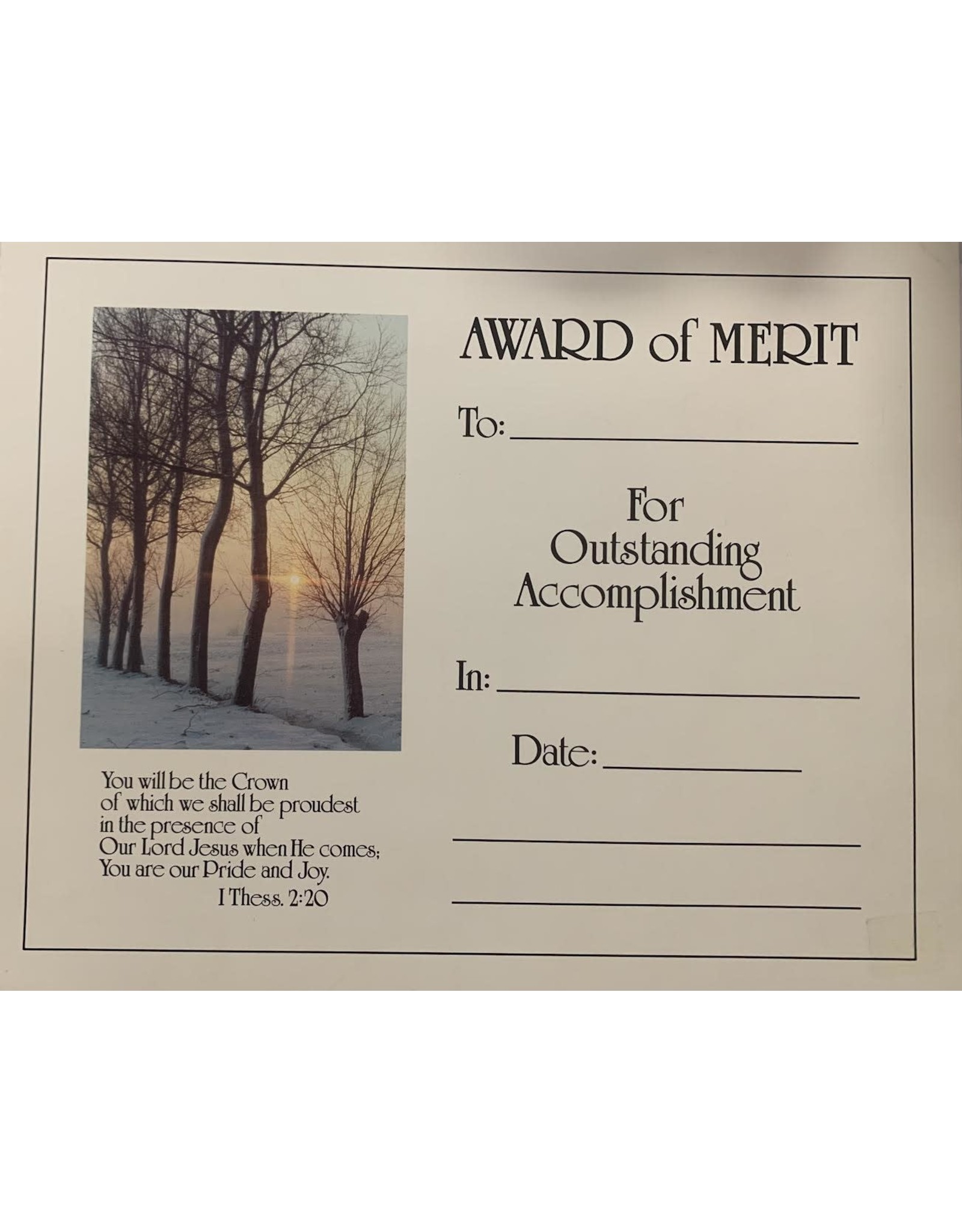 Brandi Certificate - Award of Merit (Each)