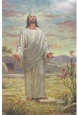 Bulletins - Easter, Risen Lord (100)
