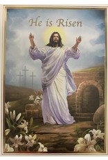 Barton Cotton Boxed Set of Easter Cards - He is Risen (25)