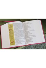 Zondervan NIV Beautiful Word Pink Large Print Bible