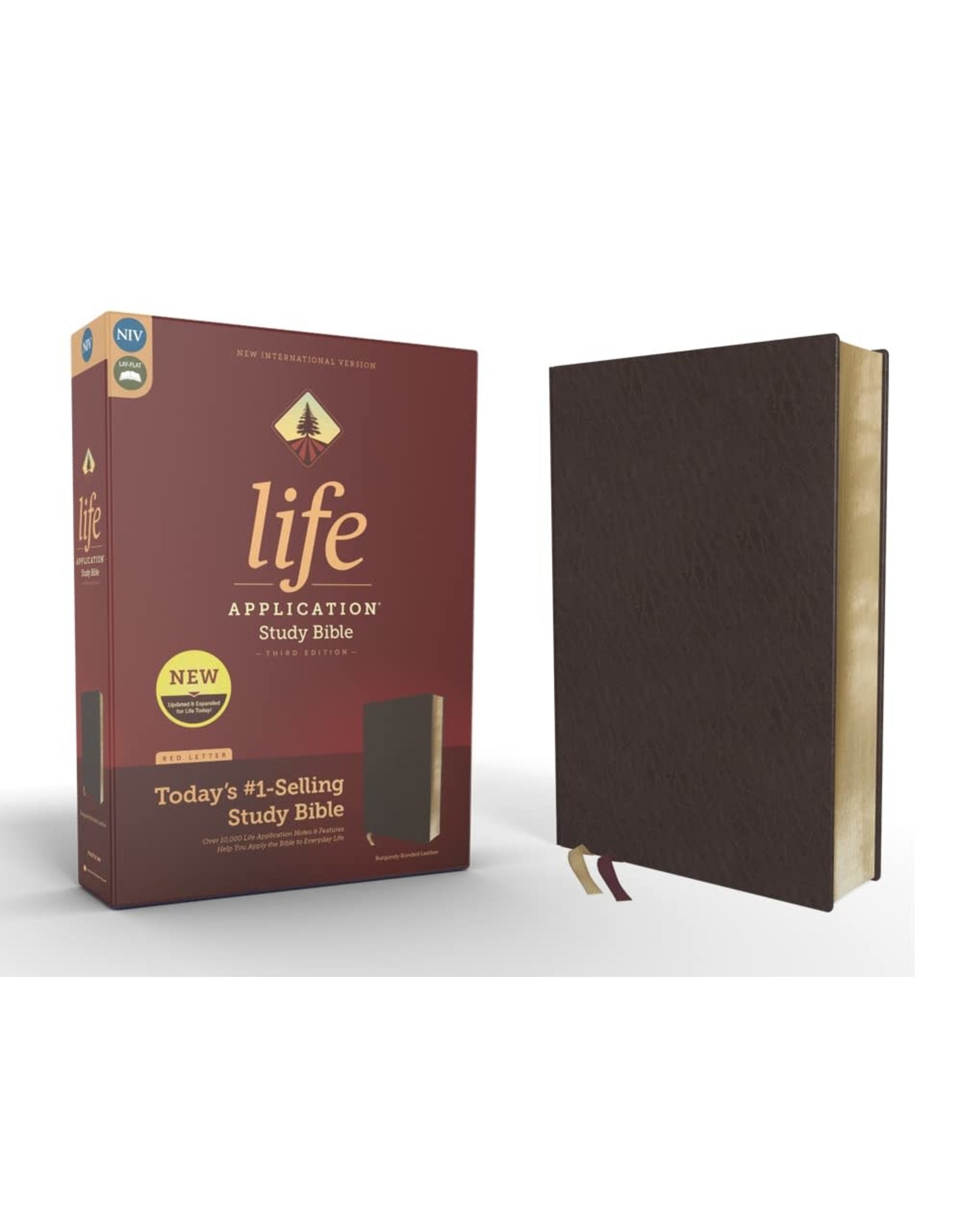 Zondervan NIV Life Application Burgundy Leather Study Bible