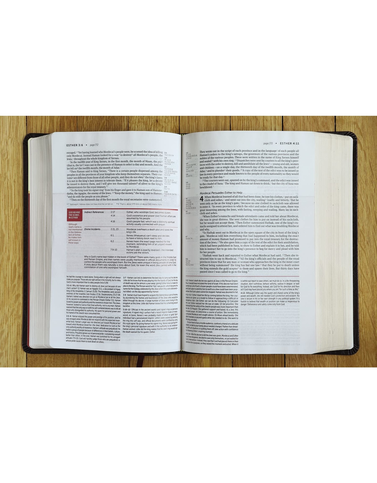 Zondervan NIV Life Application Burgundy Leather Study Bible