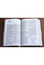 NIV Thinline Bible, Giant Print, Imitation Leather, Brown/Tan, Red Letter Edition
