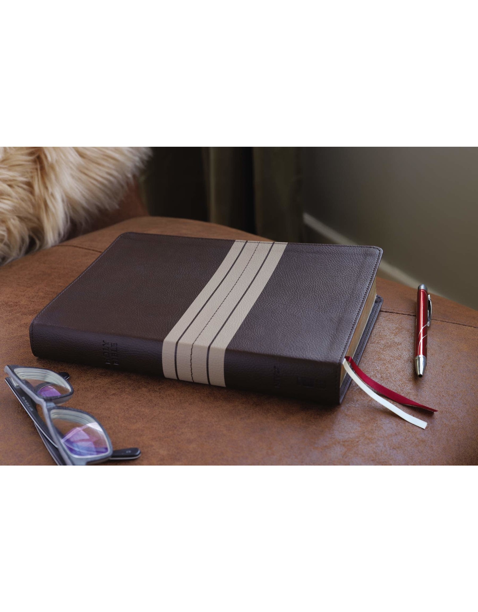 Zondervan NIV Thinline Bible, Giant Print, Imitation Leather, Brown/Tan, Red Letter Edition